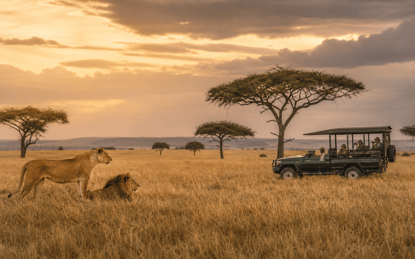 Bush Packages - Maasai Mara
